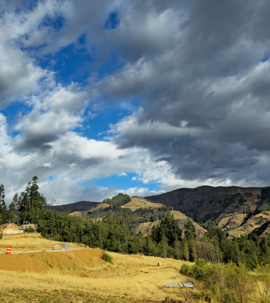 Imagen secundaria de Arboleda